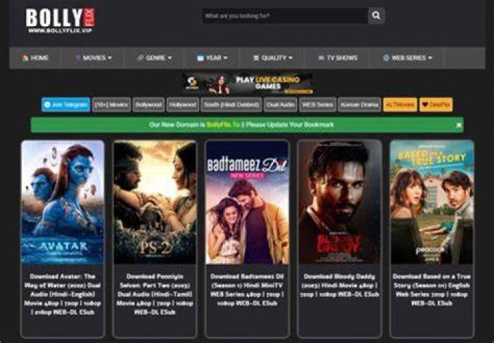 Bollyflix: A Comprehensive Guide to Your Favorite Bollywood Streaming Platform