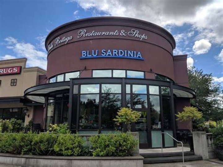 Discovering the Allure of Blue Sardinia Redmond