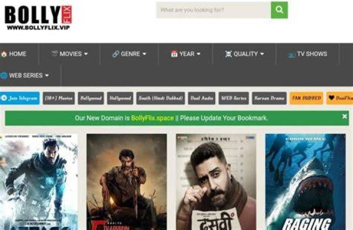 Discovering the World of HDHubU BollyFlix: Your Ultimate Streaming Destination