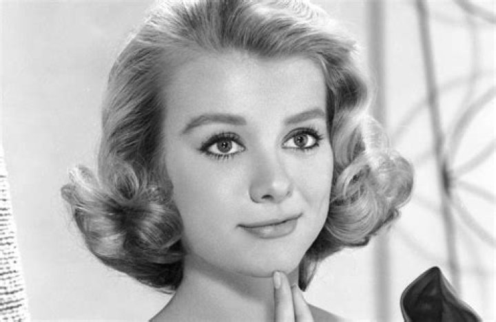 Inger Stevens: A Deep Dive into the Life and Legacy of a Talented Actress