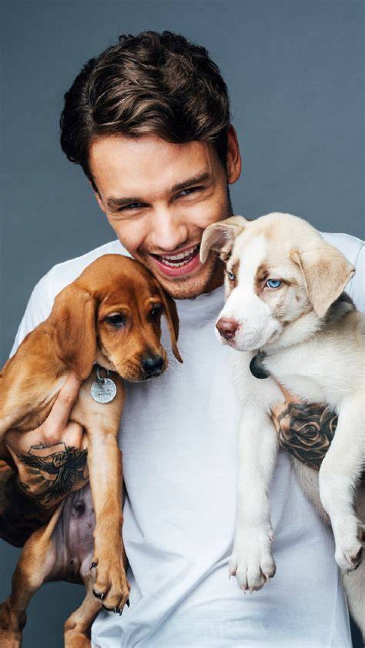 Liam Payne's Canine Companion: Discovering the Dog Breed Behind the Star