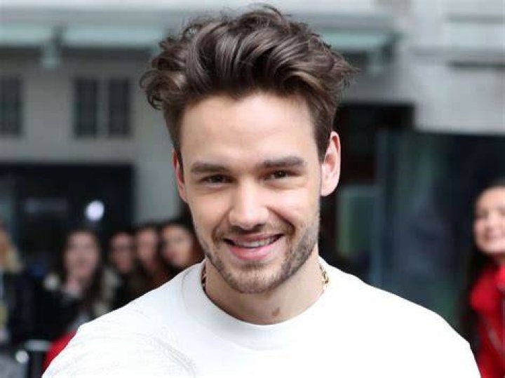 Liam Payne's Eyebrows: The Signature Look of a Pop Icon