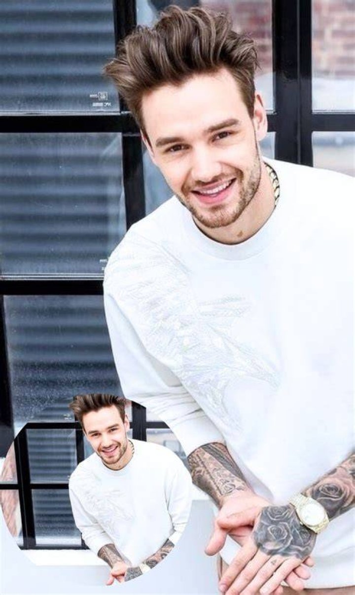 Liam Payne: The Groomer Behind the Fame