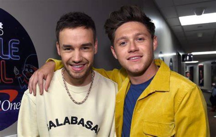 Niall Horan and Liam Payne: A Friendship Beyond the Spotlight
