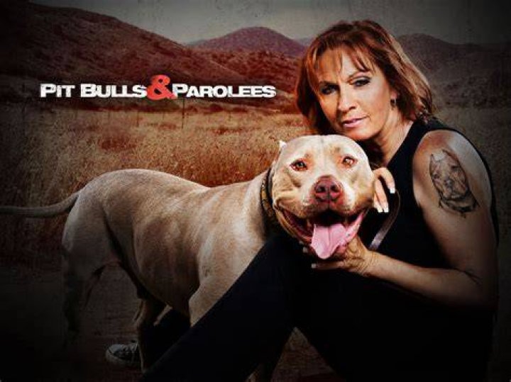 Pitbulls and Parolees: A Journey of Redemption and Resilience