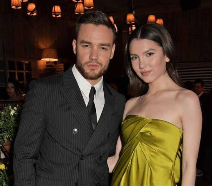 Unraveling the Controversy: The Truth Behind Liam Payne and the Pedophile Allegations