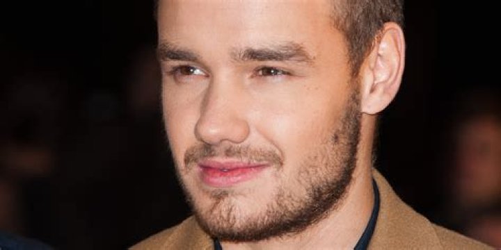 Unveiling the Genius of Liam Payne: A Multifaceted Talent