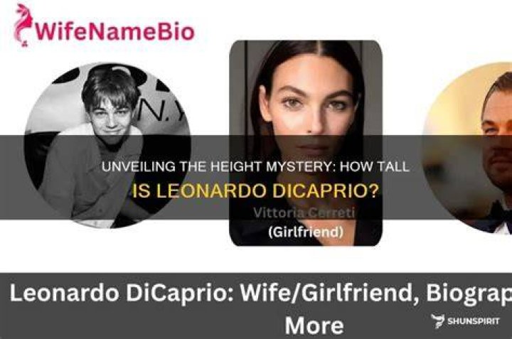 Unveiling the Mystery: How Tall is Diidy?